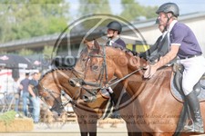 ref. photo 3773199