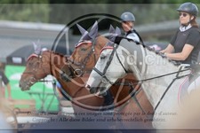 ref. photo 3773218