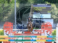 ref. photo 4036933