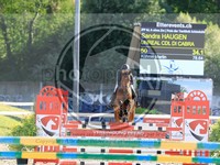 ref. photo 4036939