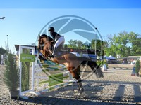 ref. photo 4036942