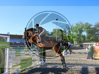 ref. photo 4037005