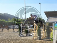 ref. photo 4037203
