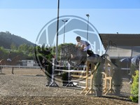 ref. photo 4037288