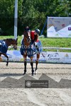 ref. photo 3328151