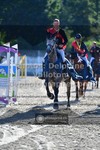 ref. photo 3328339