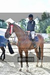 ref. photo 3328442