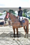 ref. photo 3328447