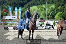 ref. photo 3328476