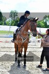 ref. photo 3328509