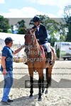 ref. photo 3328510