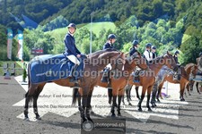 ref. photo 3328548