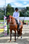 ref. photo 3328591