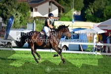 ref. photo 3284743