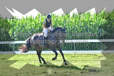 ref. photo 3284761