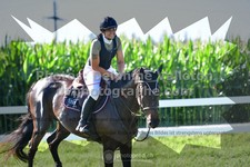 ref. photo 3284762