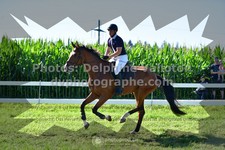 ref. photo 3284805