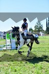 ref. photo 3284842