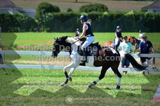 ref. photo 3284852