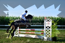ref. photo 3284936