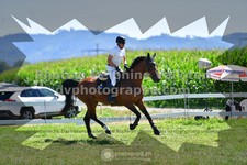 ref. photo 3284948