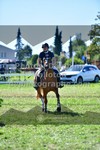 ref. photo 3284962
