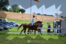 ref. photo 3284971