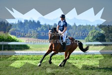 ref. photo 3285075