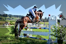 ref. photo 3285079
