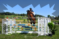 ref. photo 3285102