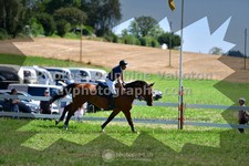 ref. photo 3285124
