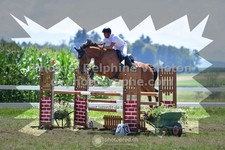 ref. photo 3285135