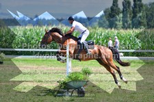 ref. photo 3285137