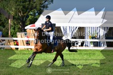 ref. photo 3285150