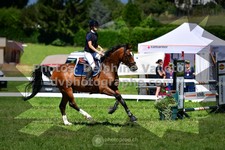 ref. photo 3285162