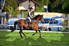 ref. photo 3285187
