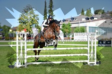 ref. photo 3285197