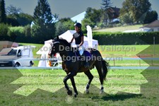ref. photo 3285232