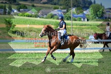 ref. photo 3285258