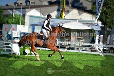 ref. photo 3285326