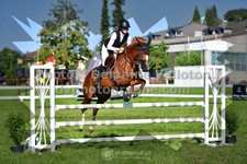 ref. photo 3285337