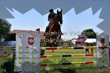 ref. photo 3285340