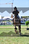 ref. photo 3285362