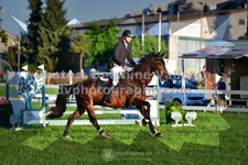 ref. photo 3285363