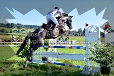 ref. photo 3285402