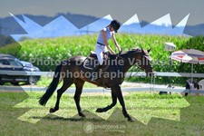 ref. photo 3285423