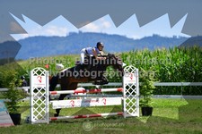 ref. photo 3285424