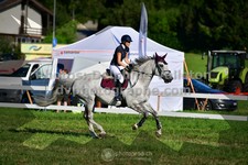ref. photo 3285476