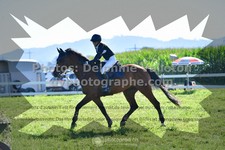 ref. photo 3285608