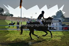 ref. photo 3285616